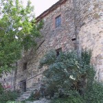 173-7329_IMG